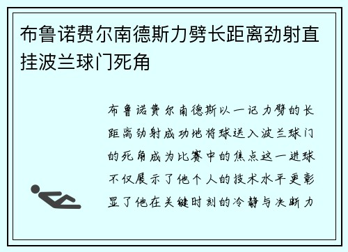 布鲁诺费尔南德斯力劈长距离劲射直挂波兰球门死角